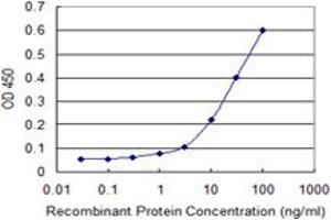 Detection limit for recombinant GST tagged MERTK is 1 ng/ml as a capture antibody. (MERTK Antikörper  (AA 21-120))