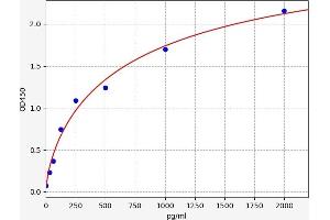 Typical standard curve (SCUBE2 ELISA Kit)