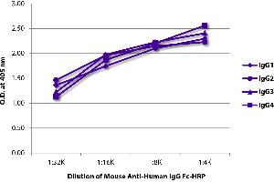 ELISA plate was coated with purified human IgG1, IgG2, IgG3, and IgG4. (Maus anti-Human IgG (Fc Region) Antikörper (HRP))