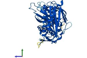 Protein Structure (PS) image for RNA Terminal Phosphate Cyclase-Like 1 (RCL1) (AA 1-373) protein (His tag) (ABIN7551342)