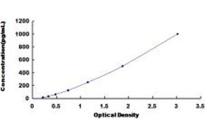 Typical standard curve (Reelin ELISA Kit)