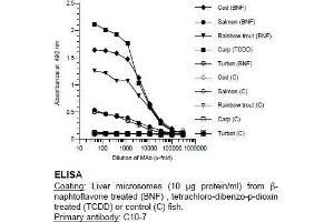 ELISA image for anti-Cytochrome P450 1A (CYP1A) antibody (ABIN108737)