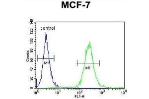 UPF2 Antibody (Center) flow cytometric analysis of MCF-7 cells (right histogram) compared to a negative control cell (left histogram).
