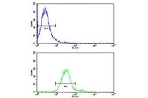 Flow Cytometry (FACS) image for anti-Receptor Tyrosine Kinase-Like Orphan Receptor 1 (ROR1) (AA 32-62) antibody (ABIN3032441)