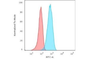 Flow Cytometric Analysis of Raji cells. (CD19 Antikörper)