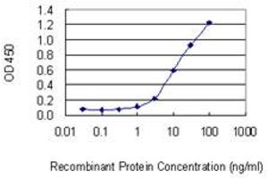 Detection limit for recombinant GST tagged UBE2DNL is 0. (UBE2DNL Antikörper  (AA 1-75))
