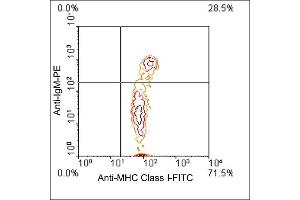Flow Cytometry (FACS) image for anti-MHC, Class I antibody (FITC) (ABIN371395)