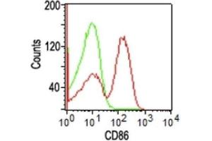 Flow Cytometry of human PBMCs using CD86 Monoclonal Antibody (BU63). (CD86 Antikörper  (FITC))