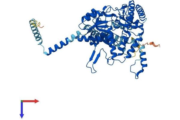 SGPL1 Protein (AA 1-568) (His tag)
