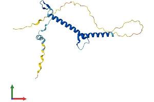 Protein Structure (PS) image for Folliculogenesis Specific Basic Helix-Loop-Helix (FIGLA) (AA 1-194) protein (His tag) (ABIN7562497)