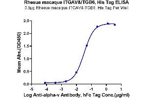 Immobilized Rhesus macaque ITGAV&ITGB6, His Tag at 5 μg/mL (100 μL/well) on the plate. (ITGAV/ITGB6 Protein (AA 31-993) (His tag))