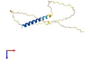 CEND1 Protein (AA 1-149) (His tag)