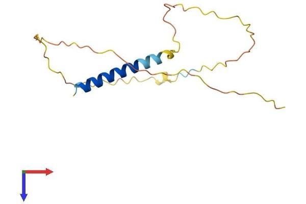 CEND1 Protein (AA 1-149) (His tag)