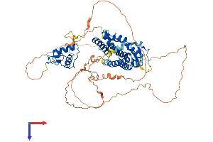 NR4A1 Protein (AA 1-601) (His tag)