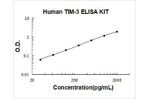 Hepatitis A Virus Cellular Receptor 2 (TIM 3) ELISA Kit