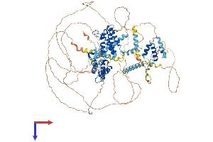 BRDT Protein (AA 1-956) (His tag)