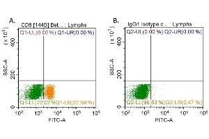 Flow Cytometry (FACS) image for anti-CD8a Molecule (CD8A) (C-Term), (Cytoplasmic Domain) antibody (ABIN7449043)