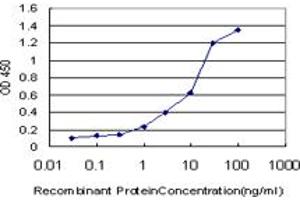 Detection limit for recombinant GST tagged CAPN9 is approximately 0. (Calpain 9 Antikörper  (AA 591-690))