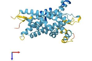 Solute Carrier Family 25 (Mitochondrial Carrier, Dicarboxylate Transporter), Member 10 (SLC25A10) (AA 1-287) protein (His tag)