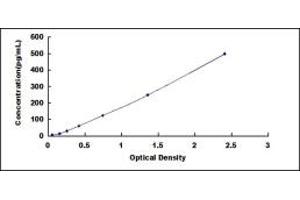 Typical standard curve (BCL2L1 ELISA Kit)