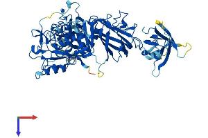 Calpain 5 Protein (CAPN5) (AA 1-640) (His tag)