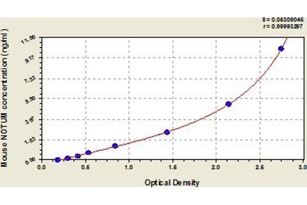 NOTUM ELISA Kit