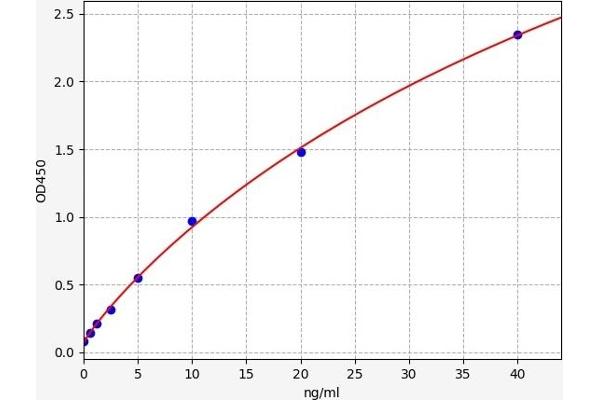 P4HA1 ELISA Kit