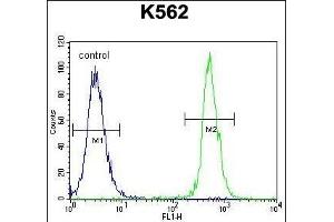 NUDT19 Antibody (Center) (ABIN655443 and ABIN2844974) flow cytometric analysis of K562 cells (right histogram) compared to a negative control cell (left histogram). (NUDT19 Antikörper  (AA 153-181))