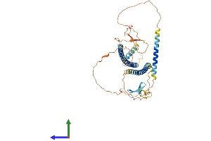 Protein Structure (PS) image for Spermatid Associated (SPERT) (AA 1-448) protein (His tag) (ABIN7546382)