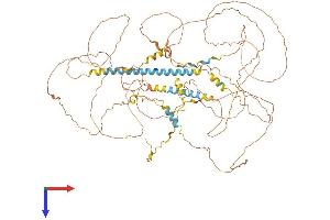 MAMLD1 Protein (AA 1-803) (His tag)