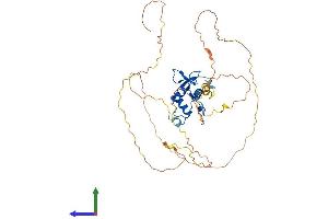 AlphaFold protein structure predicition of Human Recombinant ELK3 Protein, UniprotID P41970