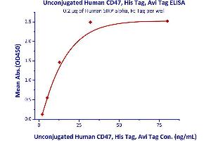 Binding Studies (Bind) image for CD47 (CD47) (AA 19-139) (Active) protein (His tag,AVI tag) (ABIN4949217)