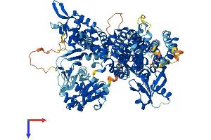 RAPGEF4 Protein (AA 1-1011) (His tag)