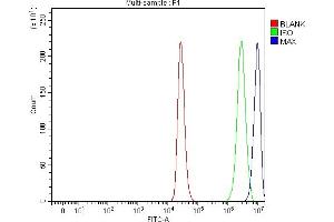 Flow Cytometry analysis of THP-1 cells using anti-MAX antibody (ABIN5692891).