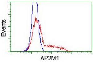 HEK293T cells transfected with either RC201377 overexpress plasmid (Red) or empty vector control plasmid (Blue) were immunostained by anti-AP2M1 antibody (ABIN2454656), and then analyzed by flow cytometry. (AP2M1 Antikörper  (AA 97-383))