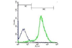 Mouse thymocytes probed with Rabbit Anti-TSHR Polyclonal Antibody, Unconjugated . (TSH receptor Antikörper  (AA 648-740))