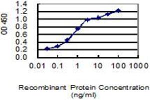 Detection limit for recombinant GST tagged C15orf55 is 0. (NUT (AA 1033-1132) Antikörper)