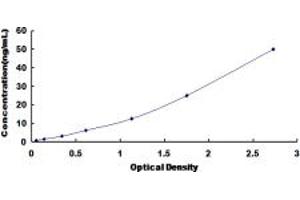 Typical standard curve (IRS2 ELISA Kit)