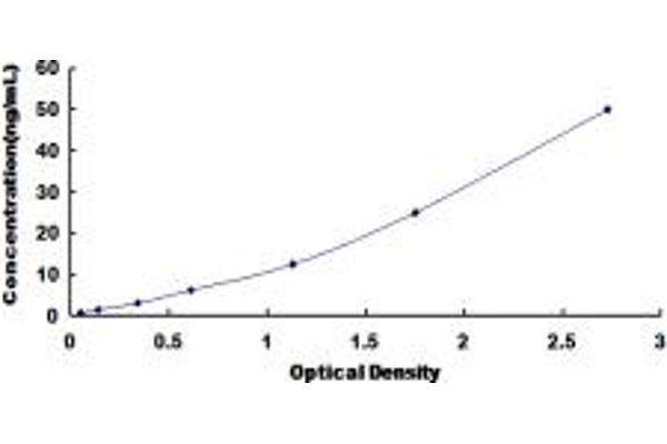 IRS2 ELISA Kit