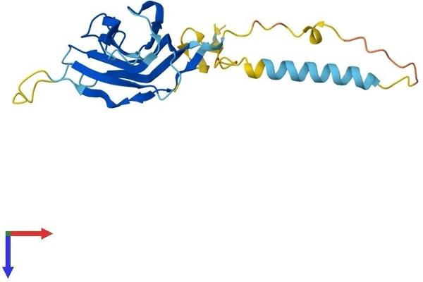 NICN1 Protein (AA 1-213) (His tag)
