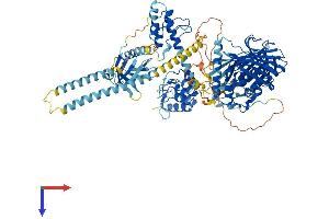 OSBPL1A Protein (AA 1-950) (His tag)