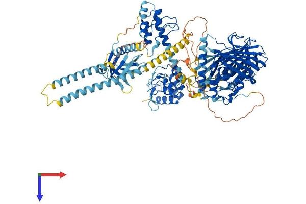 OSBPL1A Protein (AA 1-950) (His tag)
