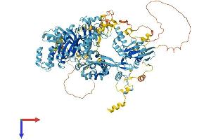 Ephrin A1 Protein (EFNA1) (AA 1-1120) (His tag)