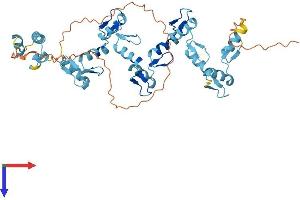 ZNF19 Protein (AA 1-458) (His tag)