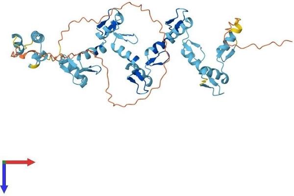 ZNF19 Protein (AA 1-458) (His tag)