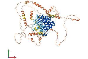 Protein Structure (PS) image for Mitogen-Activated Protein Kinase 6 (MAPK6) (AA 1-720) protein (His tag) (ABIN7563919)
