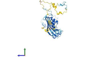 Protein Structure (PS) image for Cytokine Induced Apoptosis Inhibitor 1 (CIAPIN1) (AA 1-312) protein (His tag) (ABIN7546794)