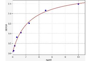 Apoptosis-Inducing Factor, Mitochondrion-Associated, 1 (AIFM1) ELISA Kit