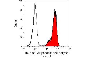 Flow Cytometry (FACS) image for anti-V-Raf-1 Murine Leukemia Viral Oncogene Homolog 1 (RAF1) (AA 300-350) antibody (ABIN7795692)