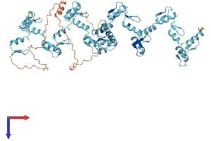 AlphaFold protein structure predicition of Human Recombinant ZNF780A Protein, UniprotID O75290